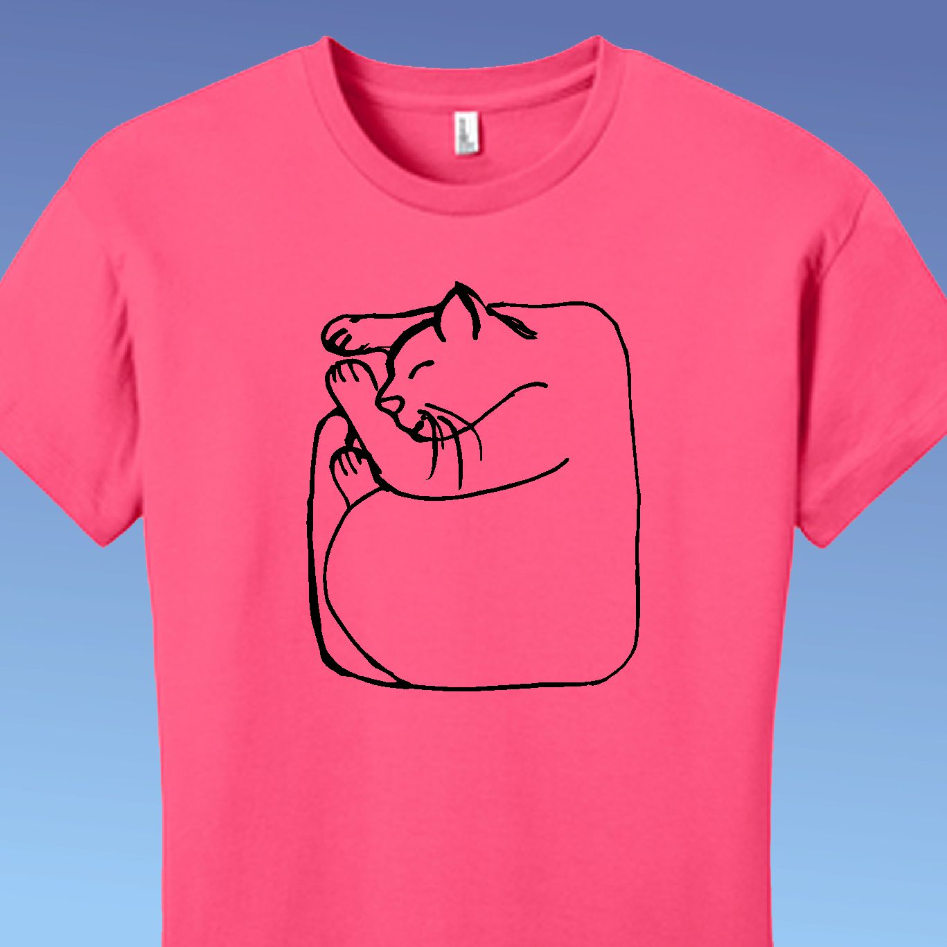 Box Cat Women's T-shirt